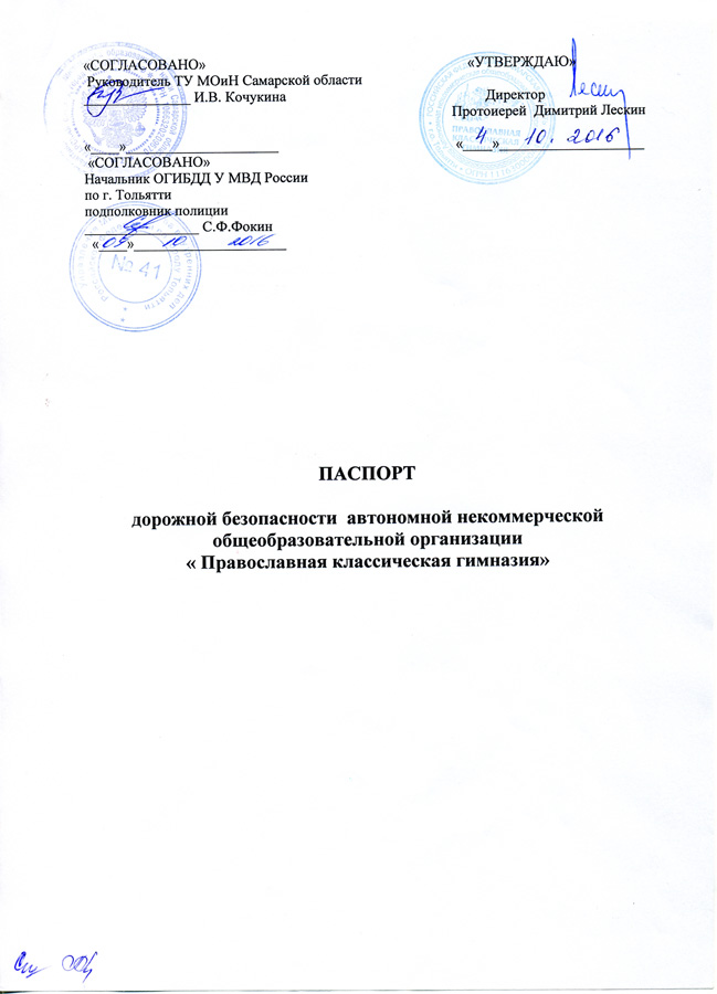 Паспорт дорожной безопасности